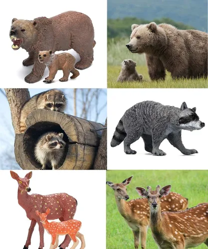 Vista 2 de Figuras de animales del bosque, 10 piezas de plástico realistas de animales del bosque silvestres, juego de figuras de animales del bosque