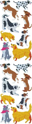 Vista 47 de Jillson Roberts - Pegatinas prismáticas, familia india americana, 12 unidades (S7128)