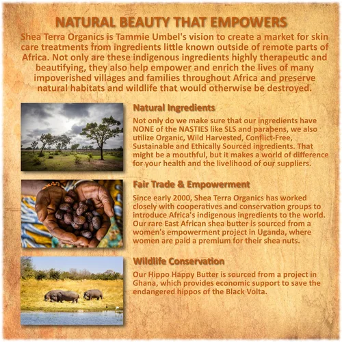 Vista 5 de Shea Terra Kigelia Age Defense Collection - Suero facial antioxidante Suero facial natural antienvejecimiento con antioxidantes que hidratan
