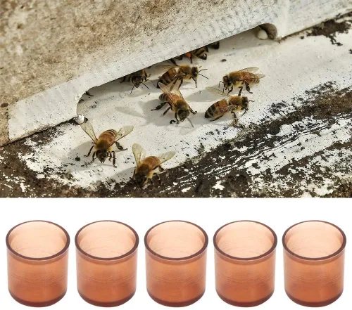 Vista 7 de TOPINCN 500pcs Queen Cría Celular Copa Plástico Marrón Celda Copas Crianza Abeja Miel Suministros de Apicultura