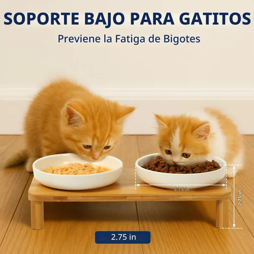 Vista 3 de DoogCat Cuencos elevados para gatos, soporte de bambú con 2 cuencos