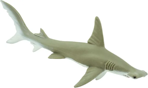 Vista 7 de Safari Ltd. Figura de tiburón Hammerhead – Figura detallada de plástico de 6.5 pulgadas – Divertido juguete educativo para niños, niñas y niños a