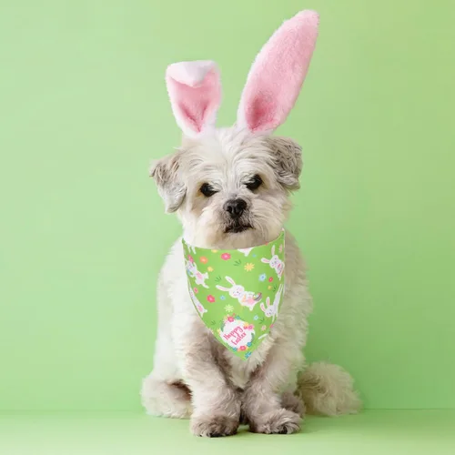 Vista 2 de ADOGGYGO Paquete de 4 Bandanas de Pascua para Perro, Bufanda Triangular para Perro, Patrón de Huevo de Pascua de Conejo, Bandana para Mascotas