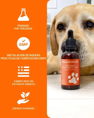 Vista 6 de Suplemento de longevidad para perros NAD+ y NMN - Salud de las articulaciones, vitalidad y envejecimiento saludable - Tecnología nanoliposomal
