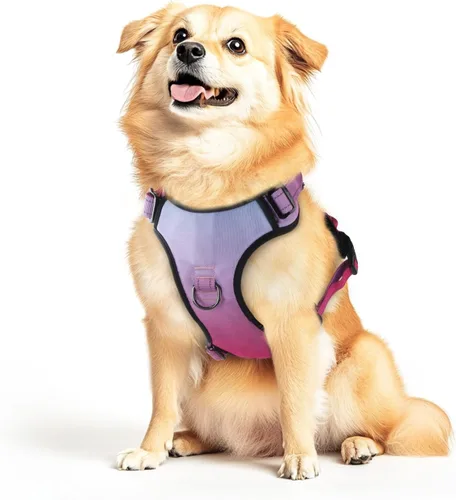 Vista 9 de Arnés para perro sin tirones, chaleco reflectante ajustable con clip delantero/trasero, asa de fácil control para perros de tamaño mediano, grande