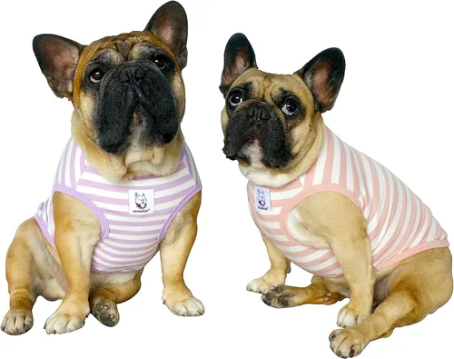 Vista 26 de iChoue - Camisetas de rayas de algodón 100% transpirable para Bulldog francés, chaleco de Halloween para perros medianos, camisetas Frenchie Pug