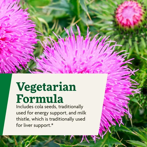 Vista 6 de Floradix Epresat Multivitamínico líquido para adultos, suplemento de hierbas, suplemento diario con vitamina A, D, B6, cardo mariano y más, apoya