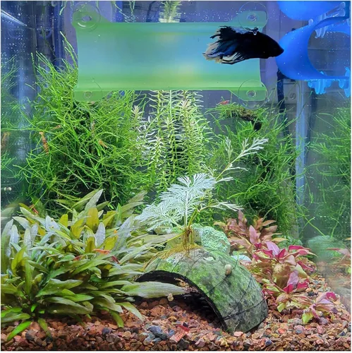Vista 17 de Marca Betta Tunnel (negro opaco)