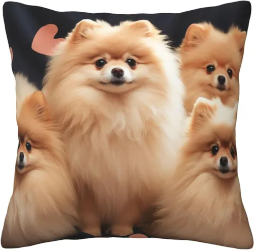 Vista 4 de Fundas de almohada con estampado de cachorros de Pomeranians de 16 x 16 pulgadas, funda de cojín suave y acogedora funda de almohada decorativa