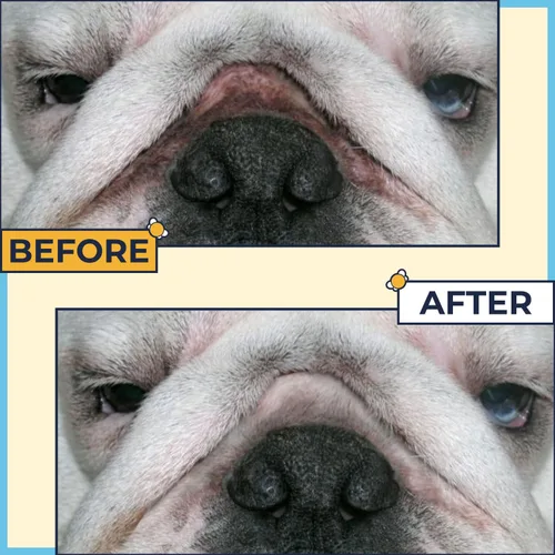 Vista 3 de Pasta para Bulldogs antiarrugas de 2 onzas + 50 toallitas antiarrugas Bulldog francés (paquete de 2) Crema antiarrugas para perros, Frenchie
