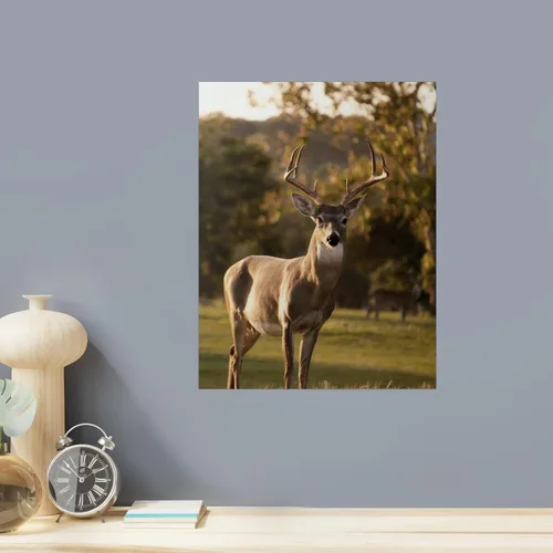 Vista 48 de SIGNFORD Mural de pared personalizado con tus fotos, papel tapiz extraíble, decoración de pared personalizada para dormitorio, sala de estar, 8 x 10