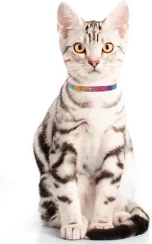 Vista 6 de THAIN Bling cat Collar de gatito Rainbow Rhinestone Breakaway Diamond con campana Terciopelo suave liberación rápida (rosa)