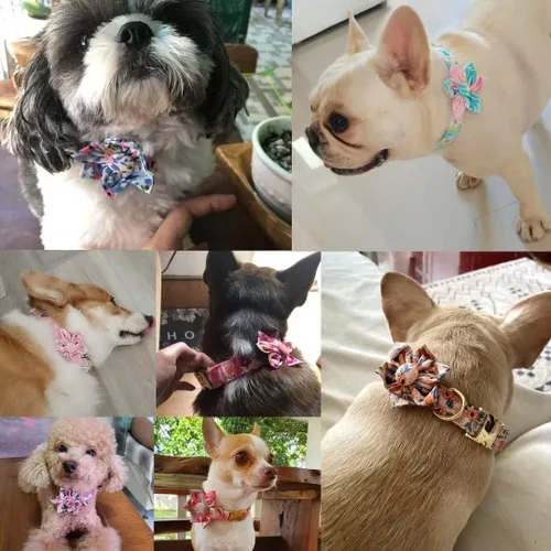 Vista 6 de Collares de perro femeninos Beirui con patrones florales vibrantes, collar de perro hembra con flores para caminar, collar ajustable duradero