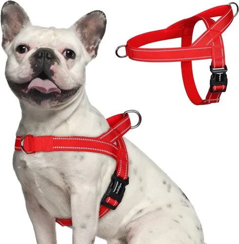 Vista 11 de rabbitgoo Arnés para perro sin tirones, ajuste rápido para perros de tamaño mediano con mango acolchado suave, chaleco reflectante ajustable