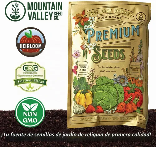 Vista 4 de Semillas de Moringa para plantar - Paquete de 0.35 oz ~ 39+ Semillas - Cultivar semillas de moringa para comer - Plántulas de árboles de moringa