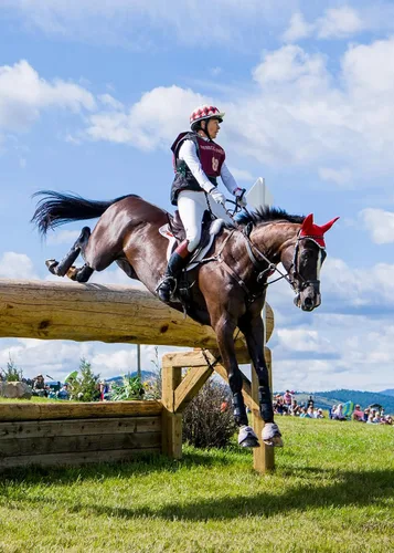 Vista 7 de Kerrits Pantalones ecuestres GripTek II para mujer Asiento adhesivo para montar a caballo, agarre máximo para eventos, doma