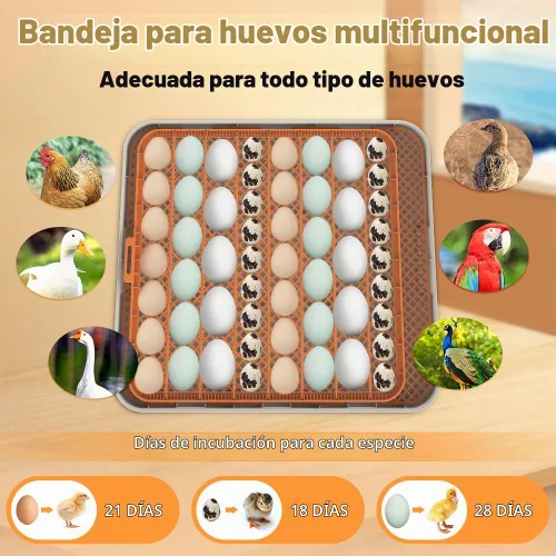 Vista 6 de HOWOOlUA - Incubadora de 56 huevos para incubar huevos con giro automático, control de temperatura y humedad, incubadora integrada de huevos de gran