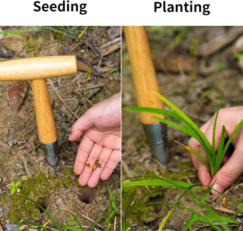 Vista 7 de FLORA GUARD - Herramienta de jardín para semillas, de acero con mango de madera Dibber de semillas de mano para plantar bulbos, sembrar semillas