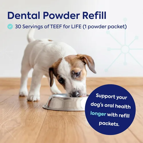 Vista 5 de TEEF for Life Protektin42 - Recambio de polvo dental prebiótico para perros, 30 porciones