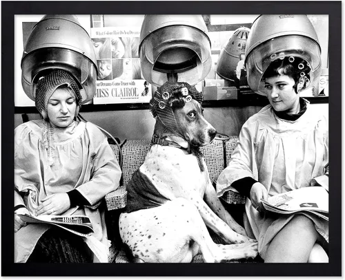 Vista 17 de Monem Art - Póster de perro en el spa, impresión de perros y mujeres, arte de fotografía, arte de moda, arte en blanco y negro, arte humorístico