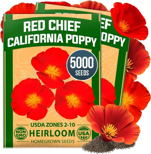 Vista 69 de HOME GROWN Semillas de Hollyhock de doble mezcla de Chater, 200 semillas