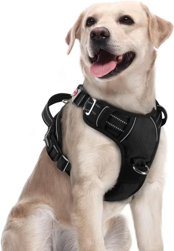 Vista 46 de Rabbitgoo - Arnés para perro de tamaño pequeño, sin tirones, 3 hebillas, fácil de poner y quitar Negro