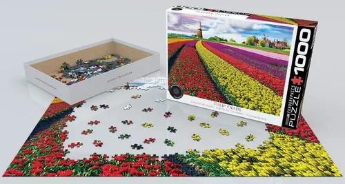 Vista 3 de EuroGraphics