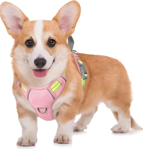 Vista 98 de BARKBAY Arnés para Perro Sin Tirones Talla Grande Arnés Reflectante para Perro con Clip Frontal y Asa de Control Fácil para Caminar Entrenar Correr