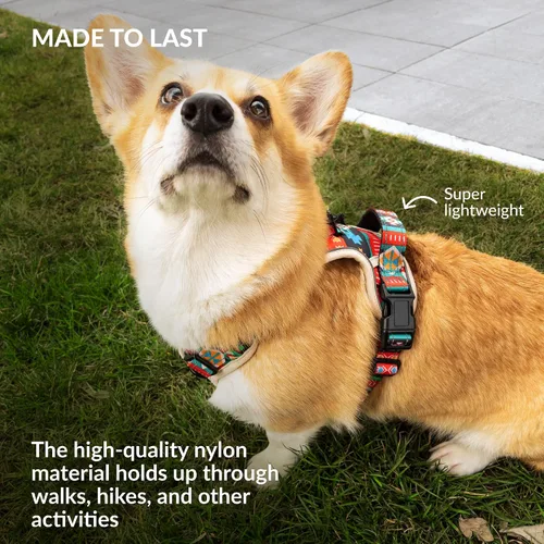 Vista 5 de CollarDirect Arnés reflectante sin tirones para perro, con asa y clip frontal, chaleco acolchado suave ajustable para perros pequeños a grandes