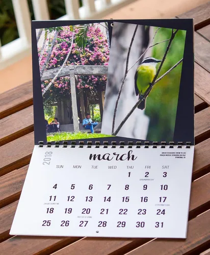Vista 3 de 2018 Wall Calendar (The Real Backyard Birds of Rio de Janeiro)