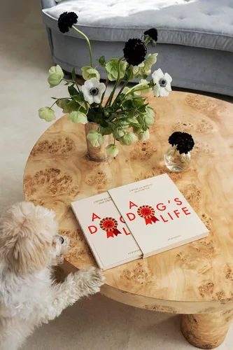 Vista 7 de Life of a Dog by Printworks