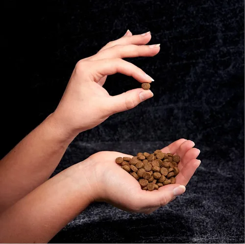Vista 9 de Crave Comida con proteína para perros, libre de granos, adulto 34% protein, real animal protein, no by-product meal, no corn, wheat, soy,