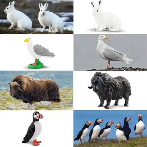 Vista 4 de Toymany Juego de 14 mini figuras de animales árticos, juguetes de animales polares con oso polar, caribú, pingüino, morsa, lobo, figuras