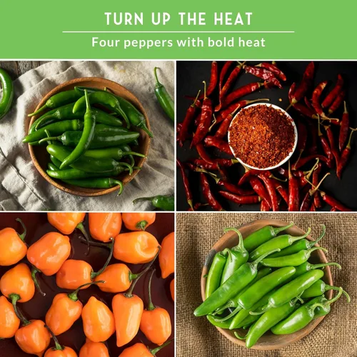 Vista 4 de Paquete variado de semillas de pimiento picante para plantar 4 variedades: jalapeño, serrano, cayena y habanero – chiles tradicionales picantes
