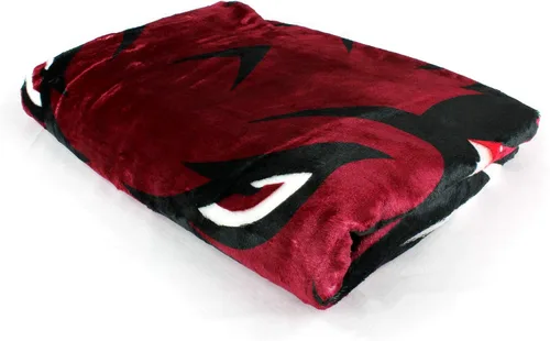Vista 2 de College Covers Everything Comfy Arkansas Razorbacks Color Swept Manta Suave de Tiro, 30" x 40
