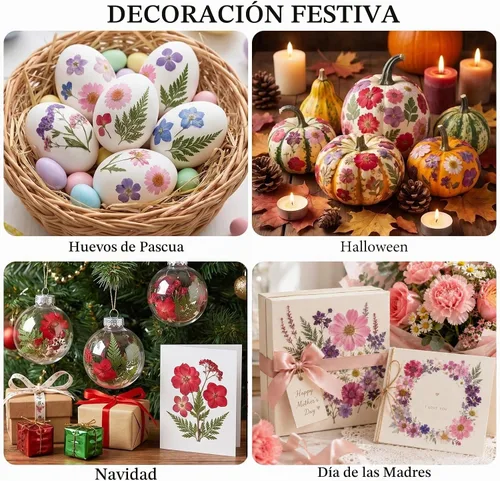 Vista 7 de 412 piezas de flores secas para manualidades, flores secas de naturaleza