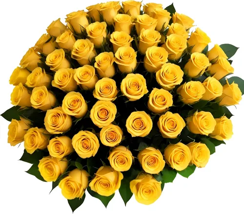Vista 4 de 18 rosas de arco iris de colores surtidos con jarrón Ramos de Arabella Flores frescas reales para entrega, regalo para cumpleaños, mujeres