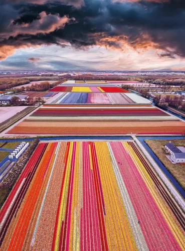 Vista 2 de Buffalo Games - Infinity Fields - Rompecabezas de 1000 piezas para adultos