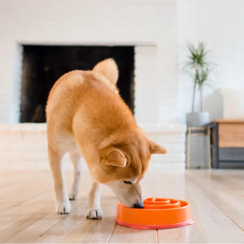 Vista 6 de Outward Hound Cuenco mediano de alimentación lenta, laberinto de rompecabezas para comedores rápidos, perros pequeños a medianos, ayuda a prevenir