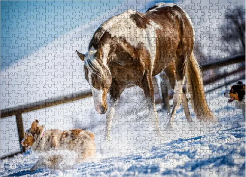 Vista 8 de MyPuzzle American Paint Horse On Snow - Rompecabezas de 100 piezas para adultos