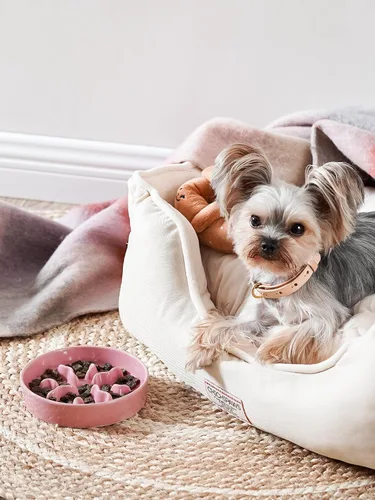 Vista 3 de Cuencos de cerámica para alimentación lenta para perros de raza pequeña, 0.5 tazas de plato de comida para perros que comen rápido, cuenco