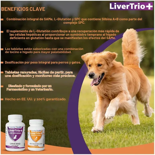 Vista 10 de Suplemento integral de apoyo hepático para perros más pequeños. Tabletas masticables sabrosas que combinan las mismas, SPC, silybin A+B, + glutatión