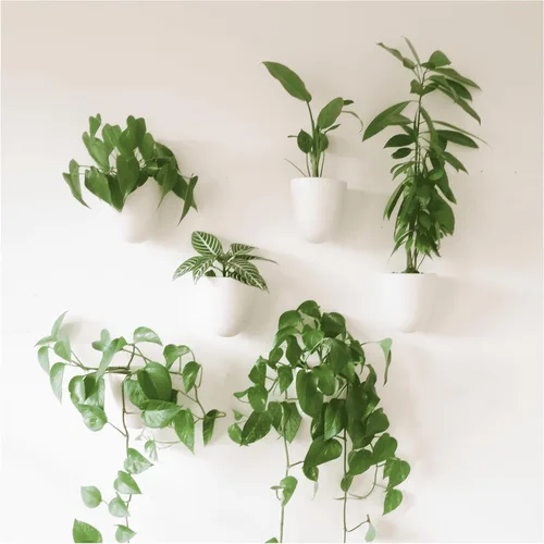 Vista 9 de Make Good PlantPod Luxe - Macetas de pared con riego automático (juego de 3, verde bosque), fáciles de regar e instalar, ligeras, diseña tu propio