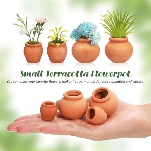 Vista 3 de Toddmomy Juego de 6 macetas de terracota para suculentas, pequeñas macetas de arcilla para plantas de jardinería en interiores y exteriores, plantas