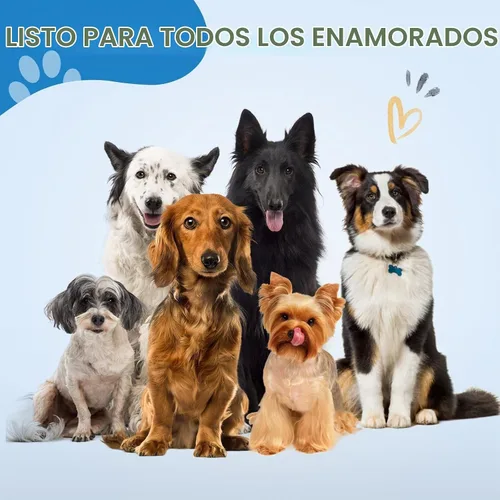 Vista 6 de JASON Tijeras curvadas para el aseo del perro, tijeras profesionales de 7 Oro rosado