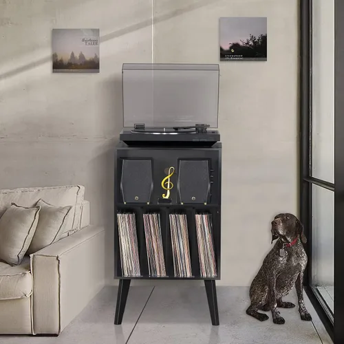 Vista 7 de Lerliuo - Soporte para tocadiscos, soporte para tocadiscos negro con capacidad para hasta 160 álbumes