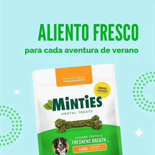 Vista 10 de Minties Masticables dentales para perros, 36 unidades, golosinas con sabor a menta recomendadas por veterinarios para perros grandes de más de 50
