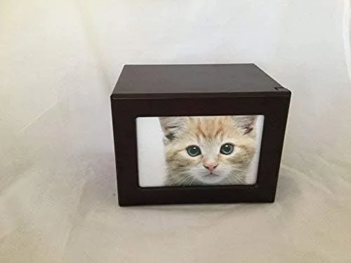 Vista 2 de Urna para mascotas, urna conmemorativa para mascotas, caja de fotos, urna de cremación para mascotas, urna de perro, urna de gato, urna de animal