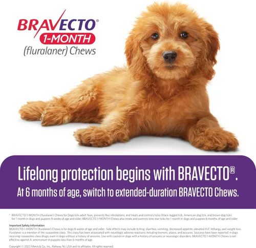 Vista 9 de BRAVECTO - Masticables de 1 mes para cachorros, >44-88 libras, 1 masticable, caja azul