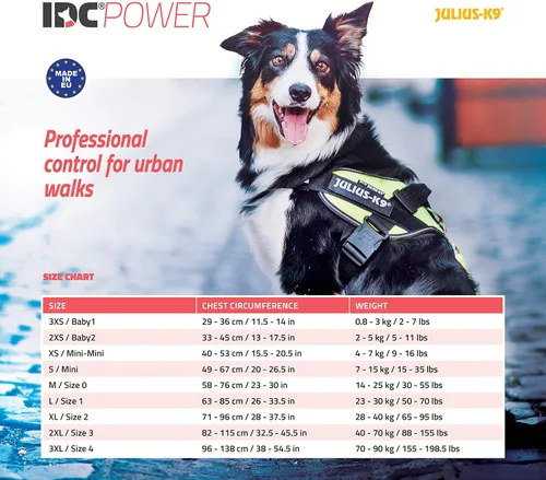 Vista 2 de Julius-K9 IDC Powerharness - Arnés para perro, Antracita